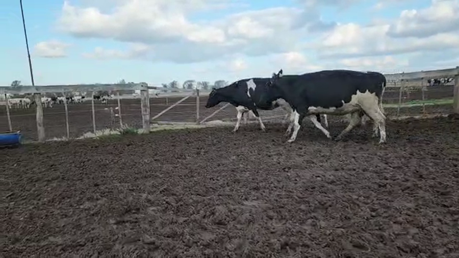 Lote Agrop. Don Bartolome