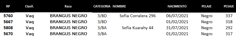 Lote Lote P6 Hembras por Pantalla