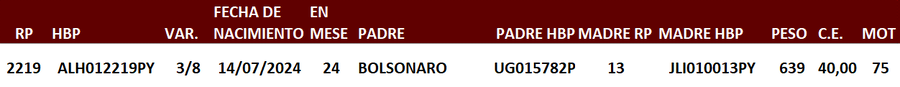 Lote LOTE 16
