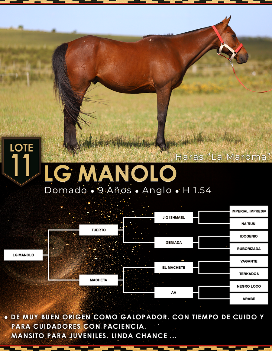 Lote LG MANOLO