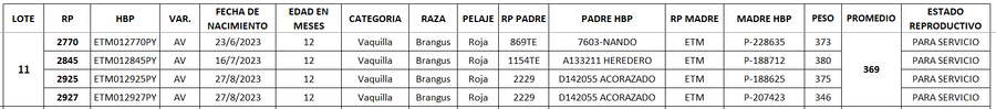 Lote LOTE 11