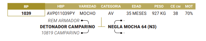 Lote LOTE 29