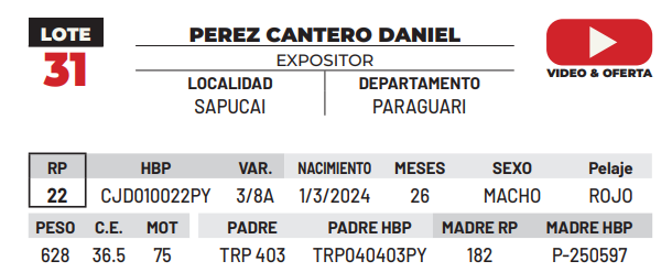 Lote LOTE 31 -DE CAMPO