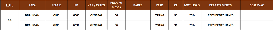 Lote LOTE 11- POR PANTALLA