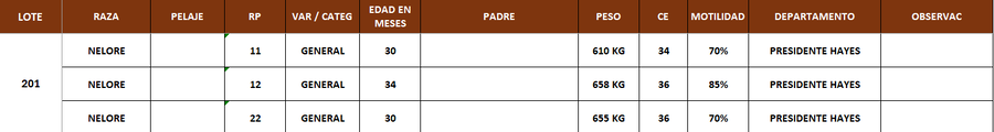 Lote LOTE 201 - POR PANTALLA