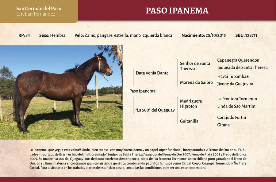 Lote Paso Ipanema (RP 34)- Cabaña "San German del Paso"