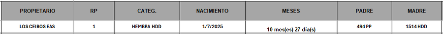 Lote LOTE 18