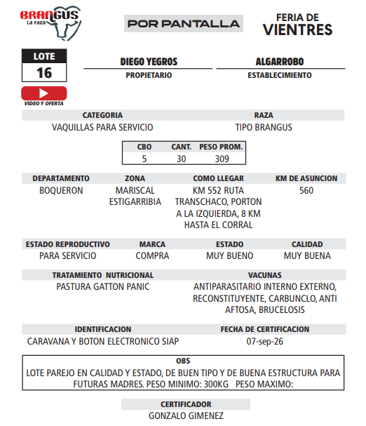 Lote LOTE 16 - POR PANTALLA