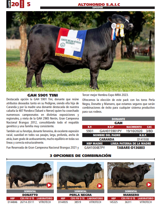 Lote LOTE 20
