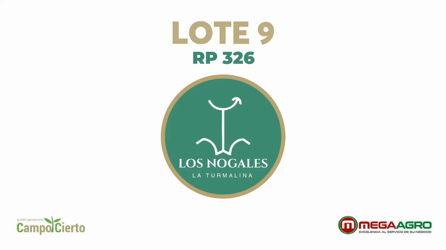 Lote LOS NOGALES