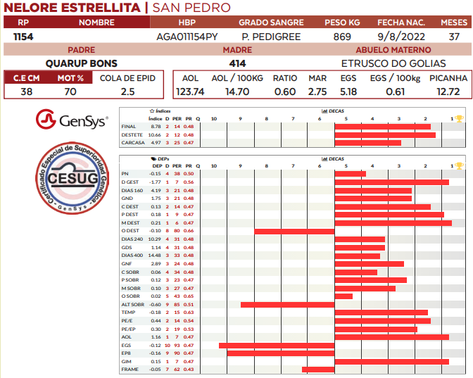 Lote LOTE 77