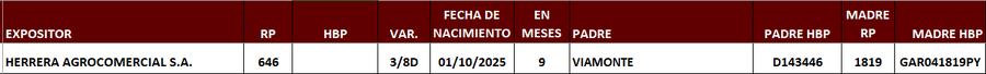 Lote LOTE 3