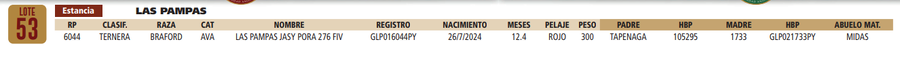 Lote LOTE 53