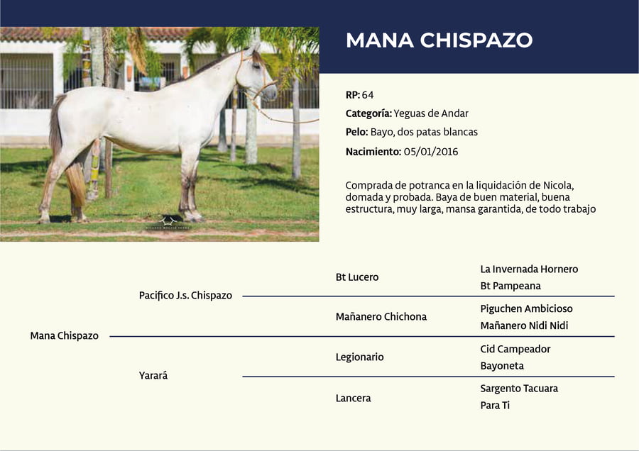 Lote RP 64 - Mana Chispazo