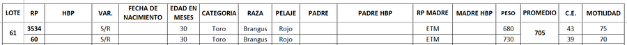 Lote LOTE 61