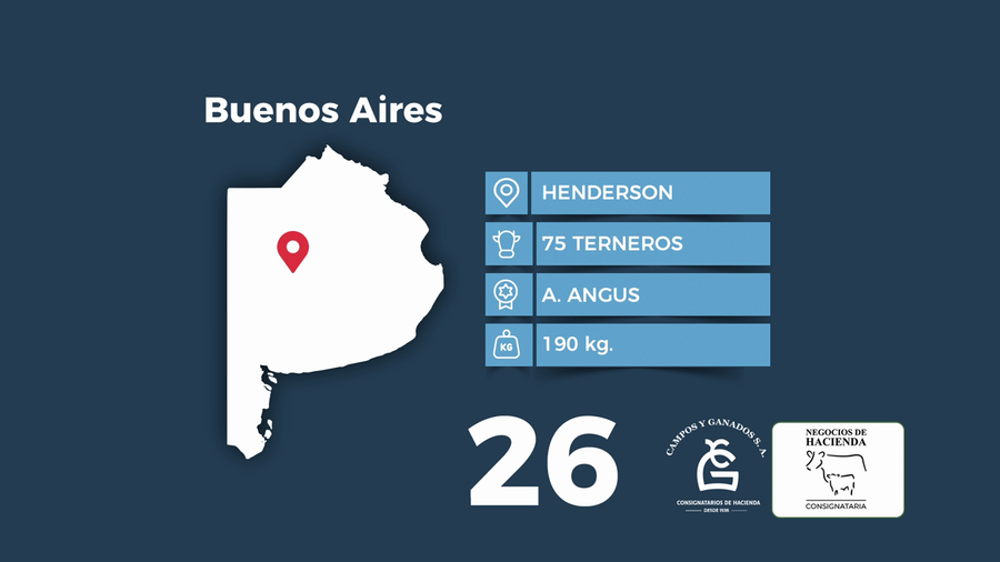 Lote 75 Terneros en Buenos Aires, Henderson