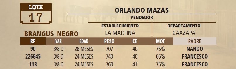 Lote LOTE 17 - VIVO