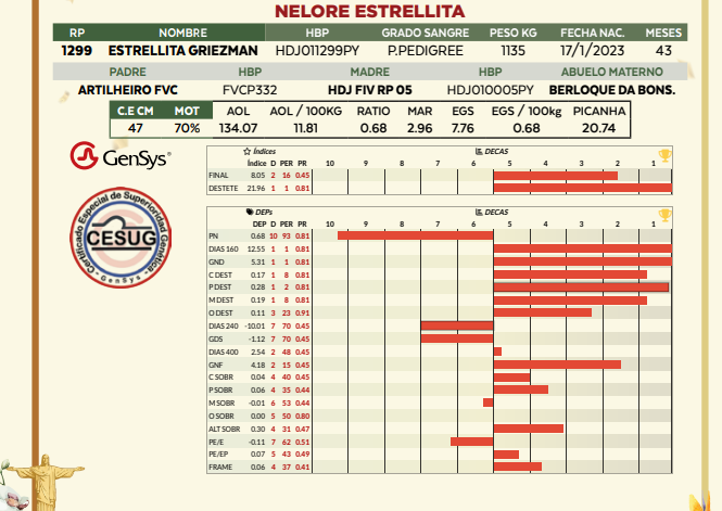 Lote LOTE 73