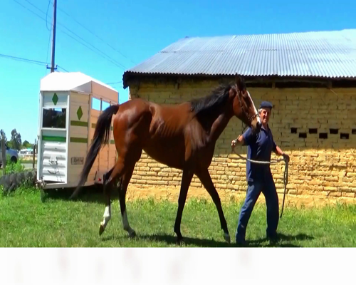 Lote DULCE VICTORIA