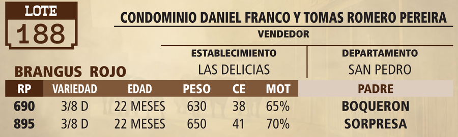Lote LOTE 188 - VIVO