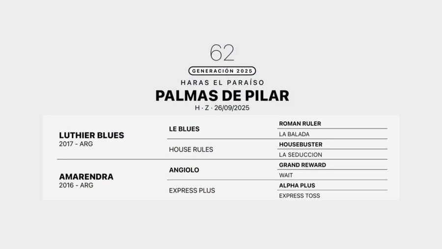 Lote PALMAS DE PILAR