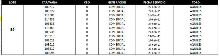 Lote Reproductores de Alborada - Lote 59