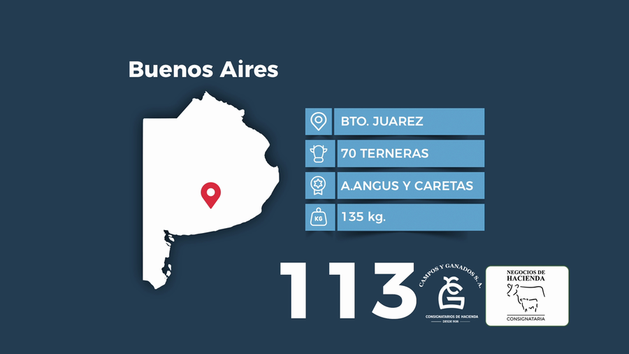 Lote 70 Terneras en Buenos Aires, Benito Juárez