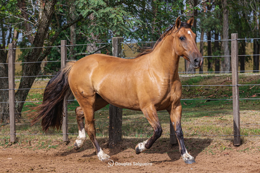 Lote KE ULTIMA DE LA COLINA