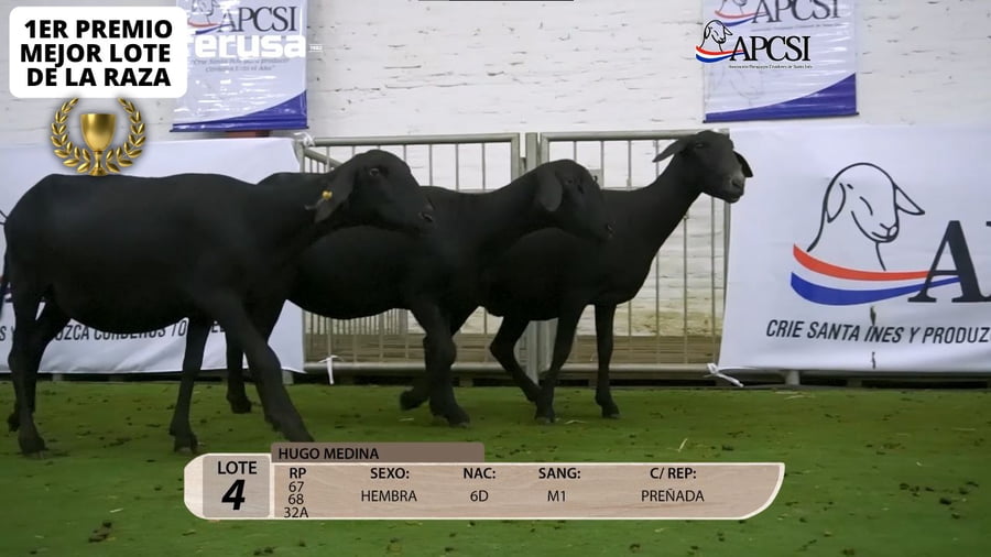 Lote Nacional Santa Inés Campo - Lote 4