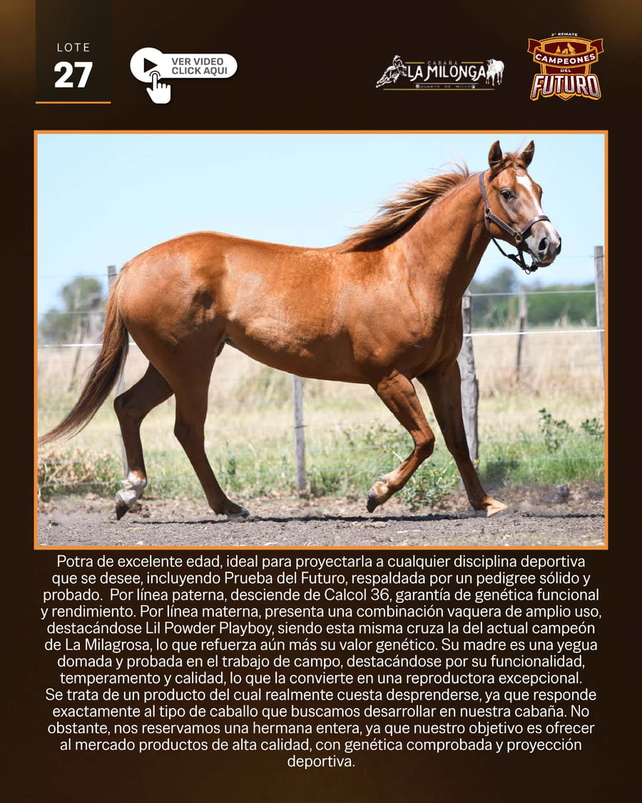 Lote CAPICUA PLAY 36 LM