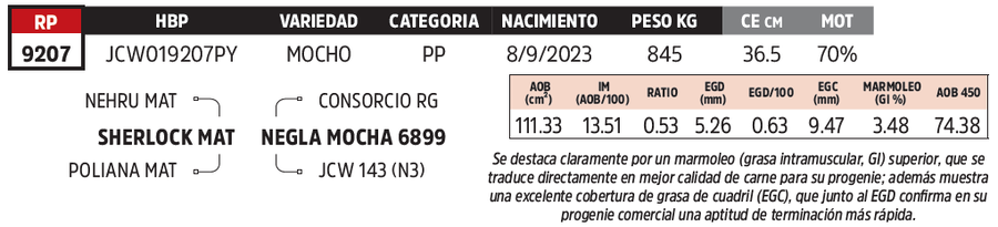 Lote LOTE 1