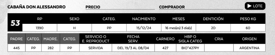 Lote LOTE 53