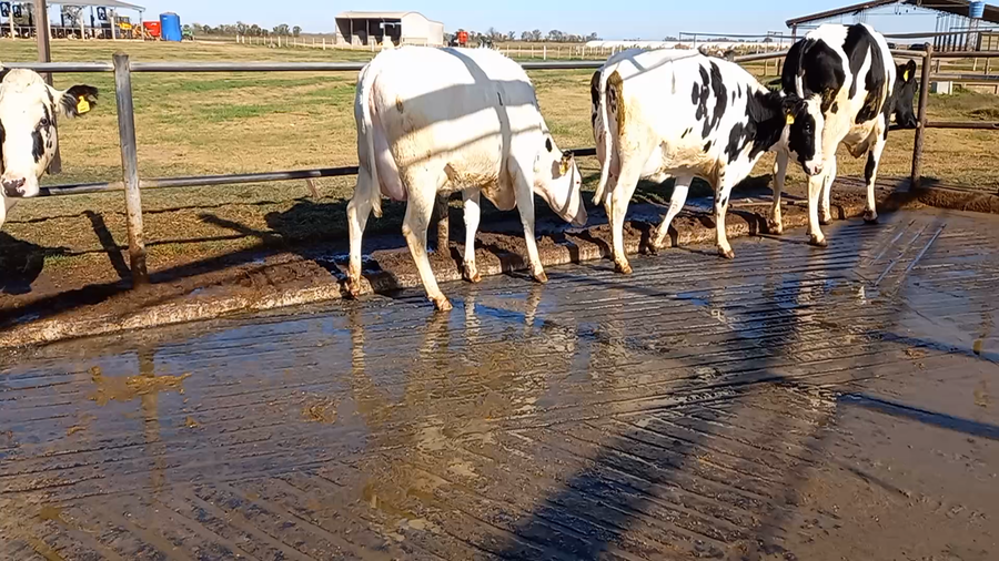 Lote La Ramada - Hipatia