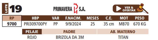 Lote LOTE 19
