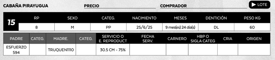 Lote LOTE 15
