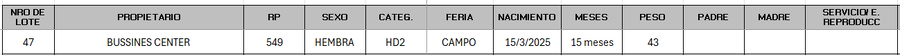 Lote LOTE 47 - CAMPO