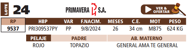 Lote LOTE 24