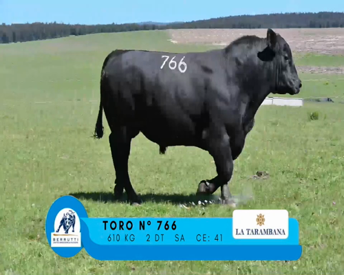 Lote TORO 766