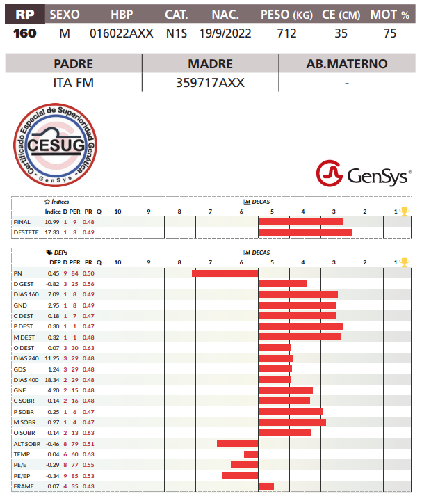 Lote LOTE 22