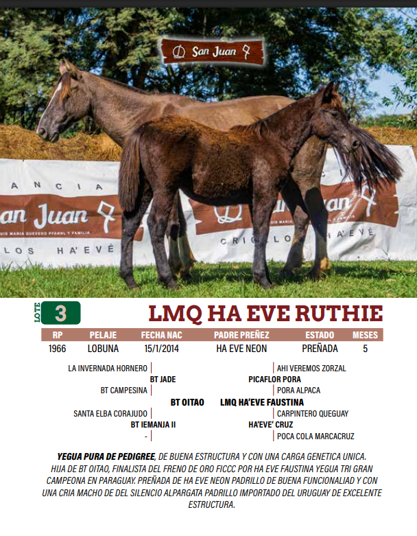 Lote LOTE 3