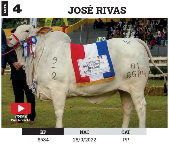 Lote LOTE 4 - PREÑECES