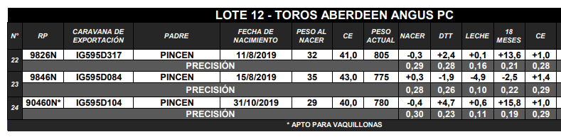 Lote TOROS ANGUS PC