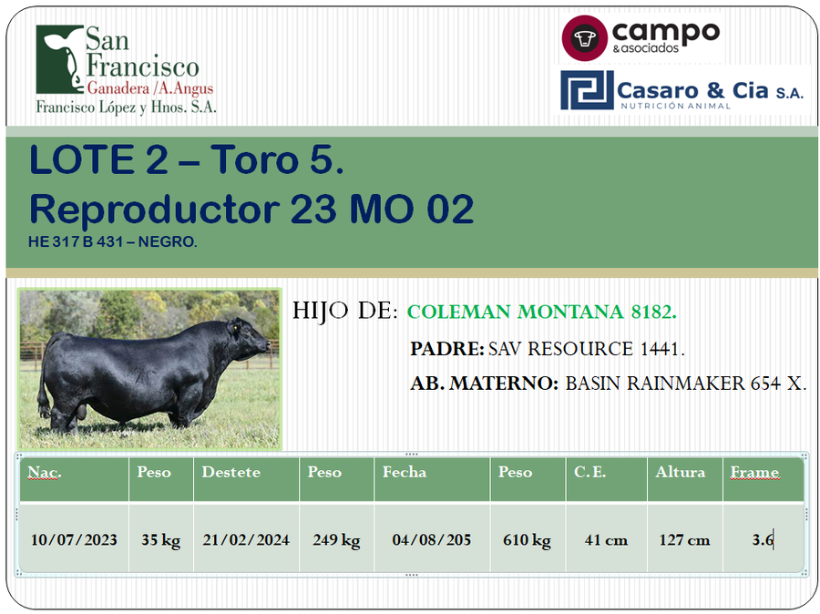Lote TOROS ANGUS PC. San Francisco