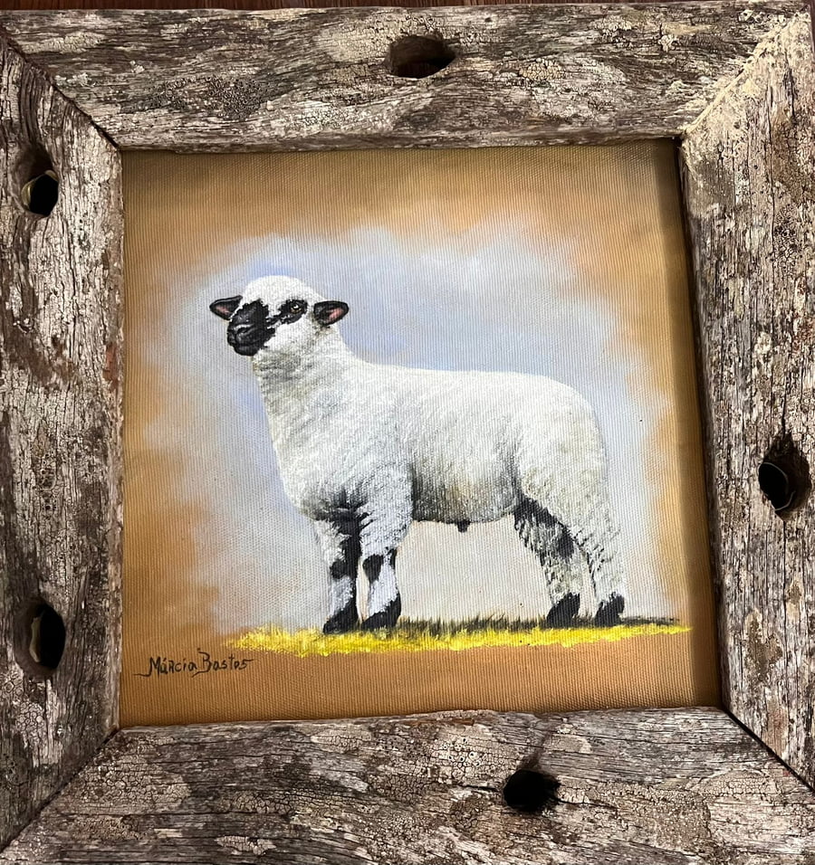 Lote LOTE 58 DONACION