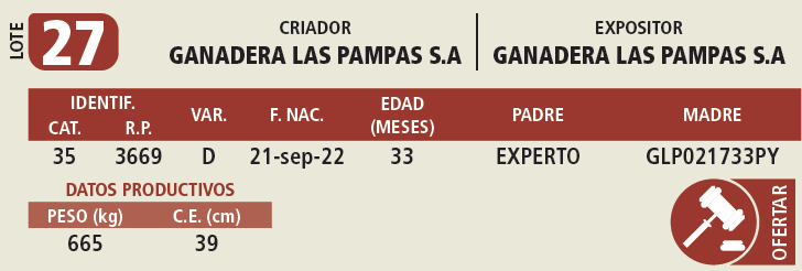Lote LOTE 27
