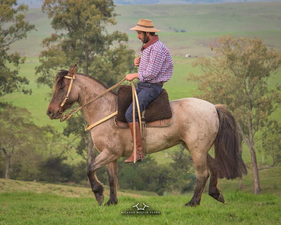 Lote El Gavilán Iluminada
