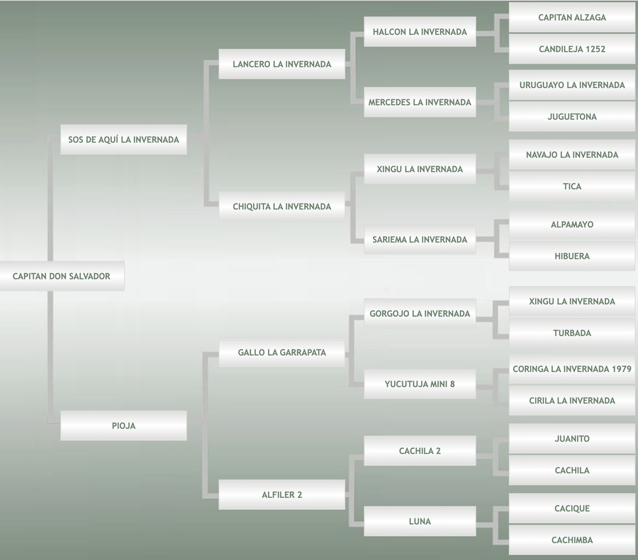 Lote Capitan Don Salvador
