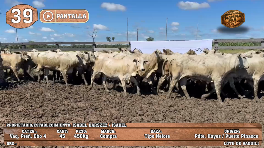 Lote LOTE 39 - POR PANTALLA