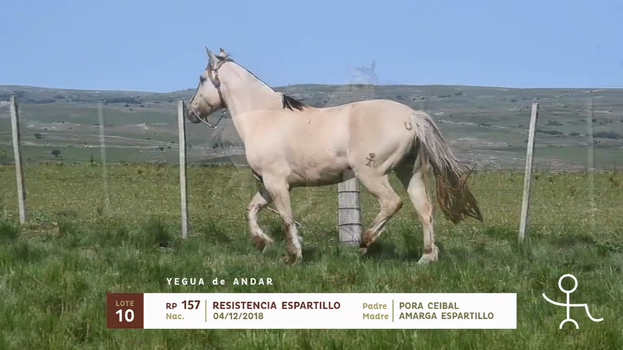 Lote RESISTENCIA ESPARTILLO