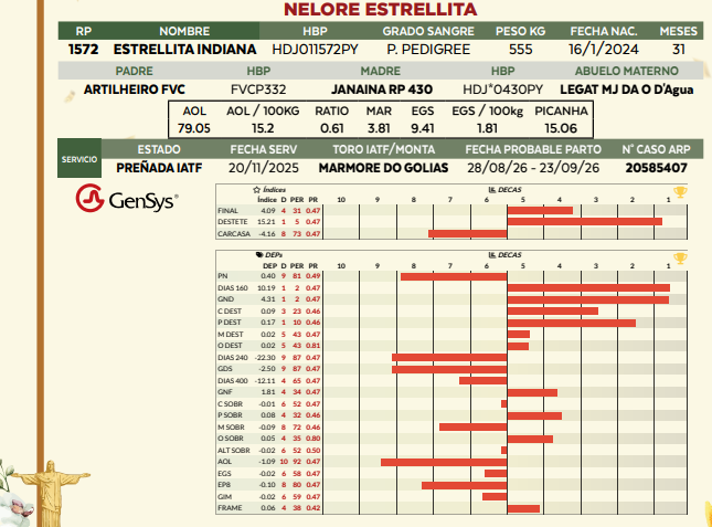 Lote LOTE 34